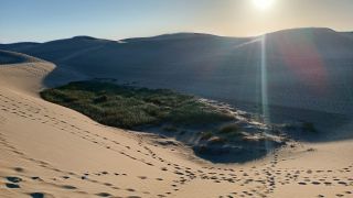 GC-Dunas de Maspalomas sunset 2026-081.jpg